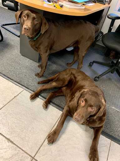 Ford Dealer «Maplecrest Ford of Mendham», reviews and photos, 102 E Main St, Mendham, NJ 07945, USA