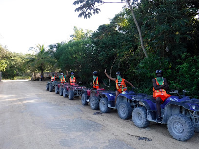 Wheelie Trails ATV Jungle Tours