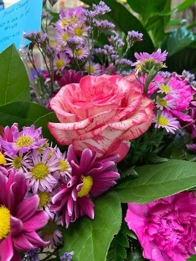 Florist «Valdosta Greenhouses», reviews and photos, 406 Northside Dr, Valdosta, GA 31602, USA