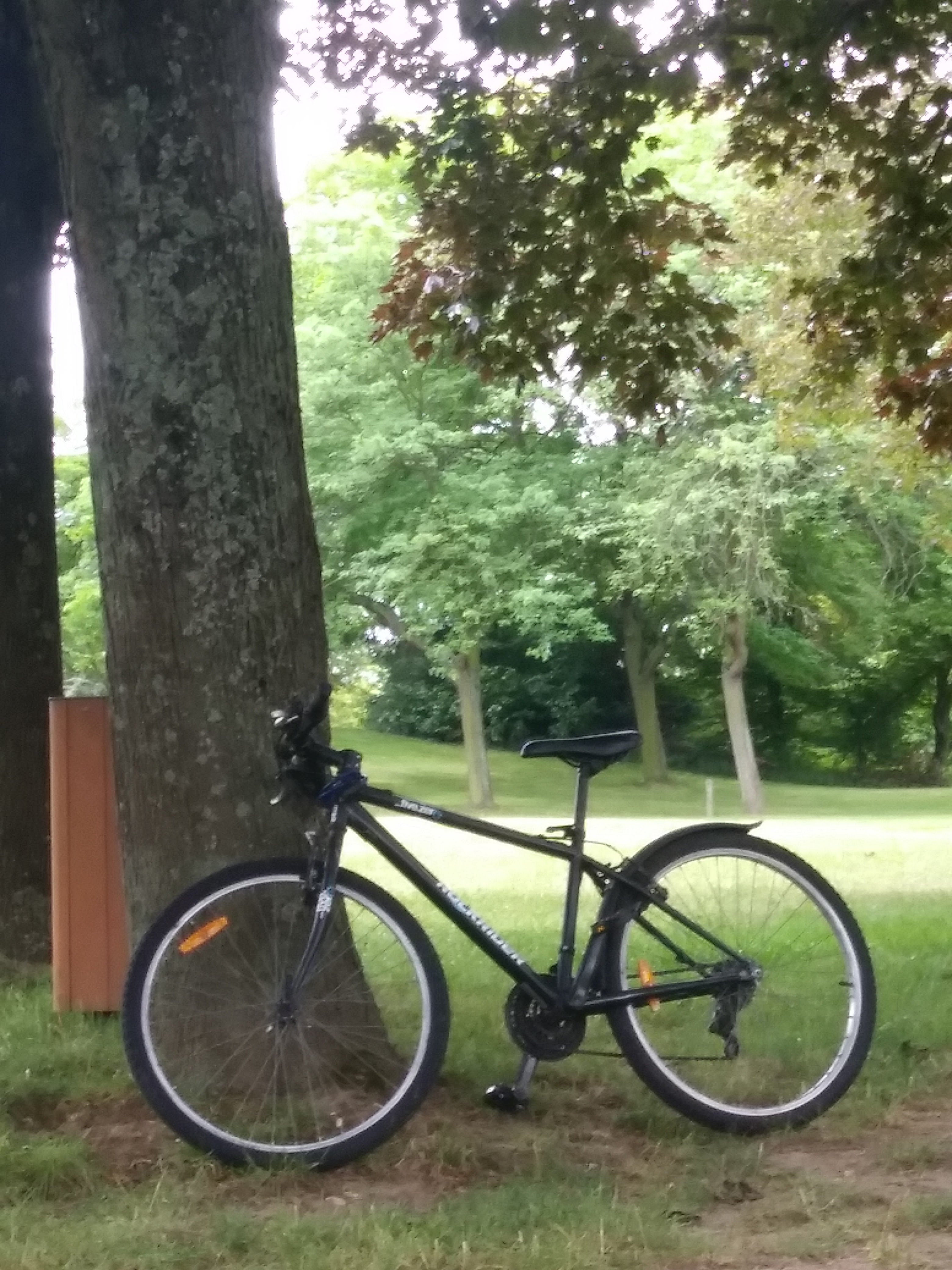Photo n° 2 de l'avis de chouaib.z fait le 19/06/2020 à 18:43