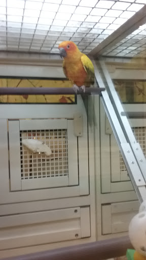 Pet Supply Store «PetSmart», reviews and photos, 1040 Cross Creek Dr, Saltillo, MS 38866, USA