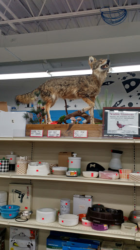 Grocery Store «P & R Discount Grocery», reviews and photos, 600 Scranton Carbondale Hwy, Eynon, PA 18403, USA