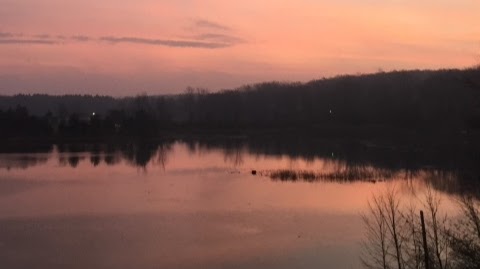 Winery «Seven Lakes Vineyard», reviews and photos, 1111 Tinsman Rd, Fenton, MI 48430, USA