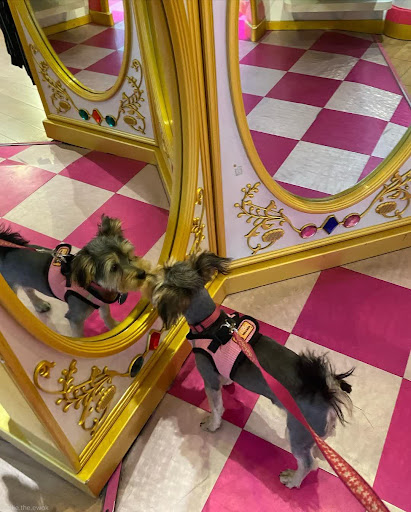 Toy Store «Disney Store», reviews and photos, 51 Main St, Salt Lake City, UT 84101, USA