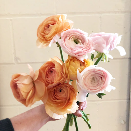 Florist «Fleur de Lis Fresh Flowers», reviews and photos, 516 Selby Ave, St Paul, MN 55102, USA