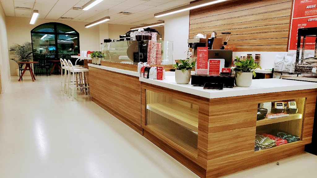 The Kookaburra Nocatee 32081