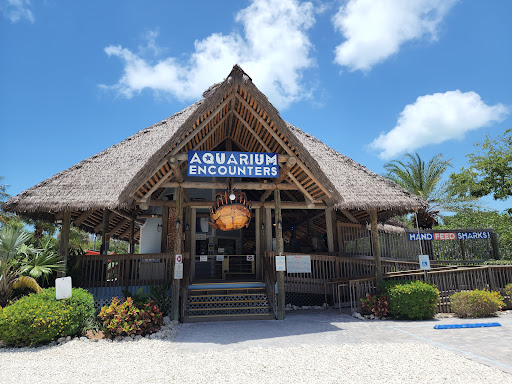 Aquarium «Florida Keys Aquarium Encounters», reviews and photos, 11710 Overseas Hwy, Marathon, FL 33050, USA