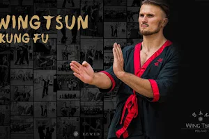 Wing Tsun Kuen Kung Fu image