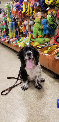 Pet Supply Store «PetSmart», reviews and photos, 14420 Farm to Market 2920, Tomball, TX 77377, USA