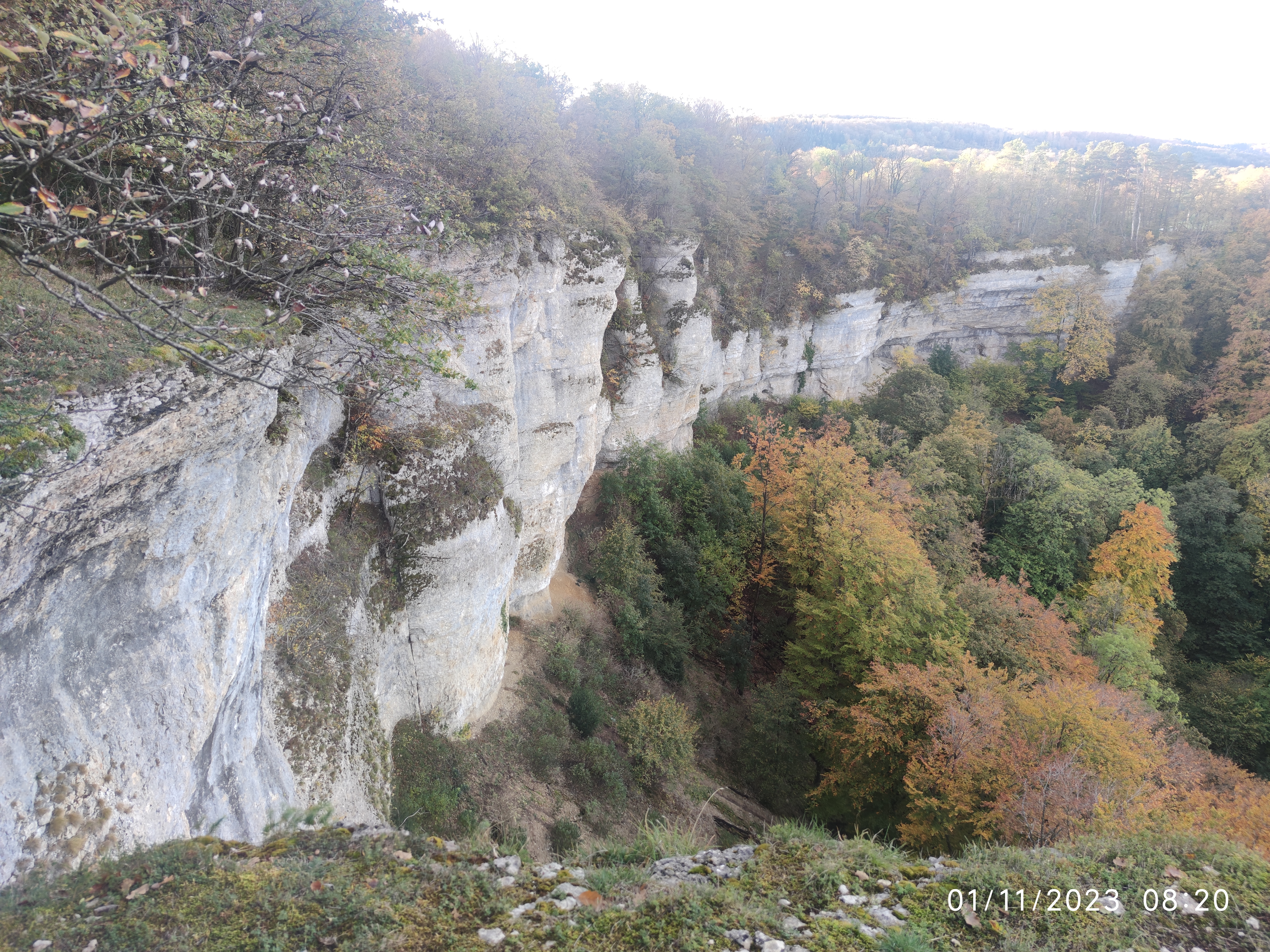 Photo n° 13 de l'avis de Patrick.i fait le 12/12/2023 à 10:07