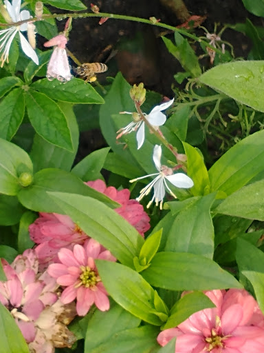 Park «Water Works Park», reviews and photos, 2201 George Flagg Pkwy, Des Moines, IA 50321, USA