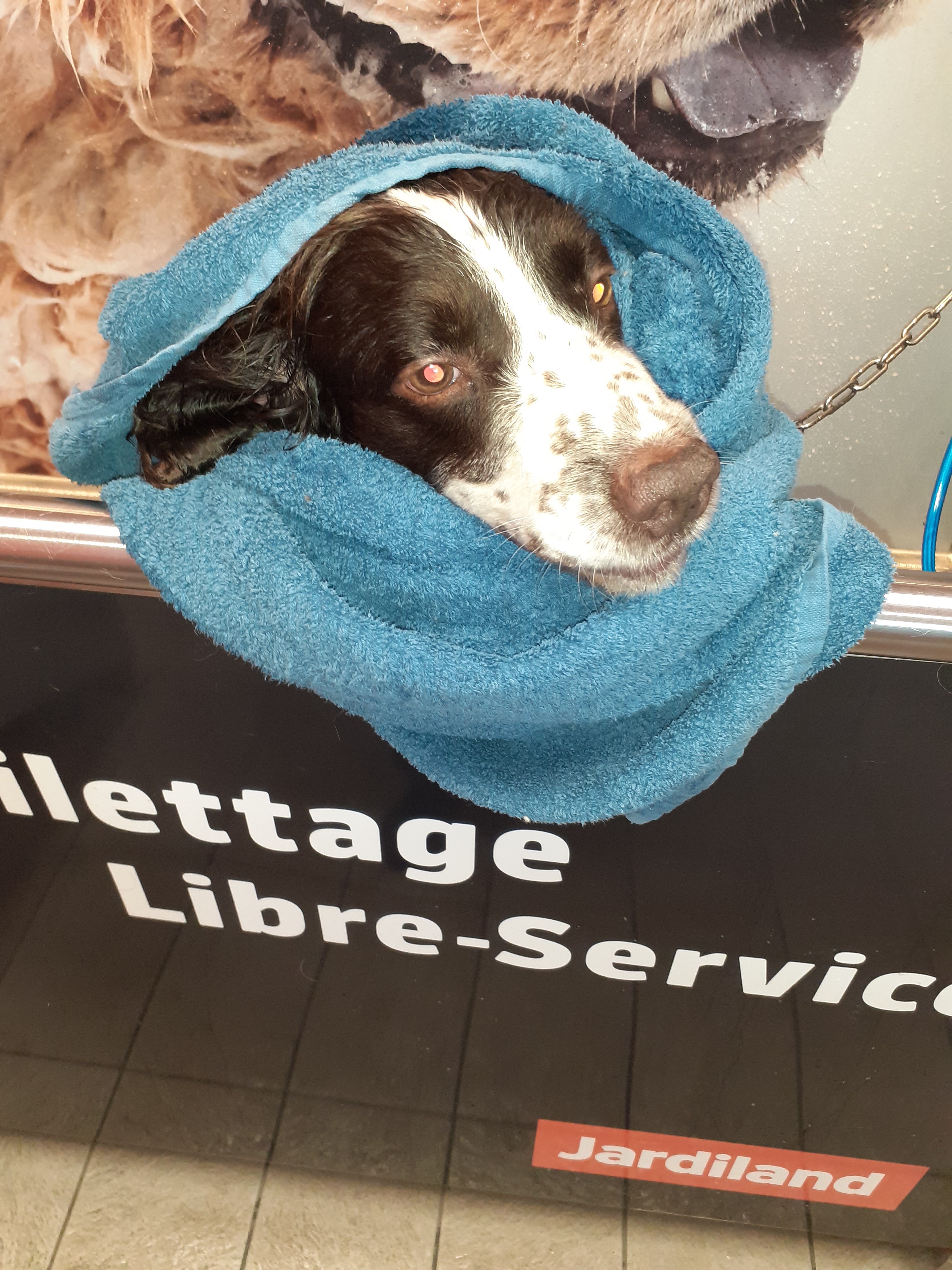 Photo n° 1 de l'avis de Flavie.A fait le 18/08/2022 à 10:28
