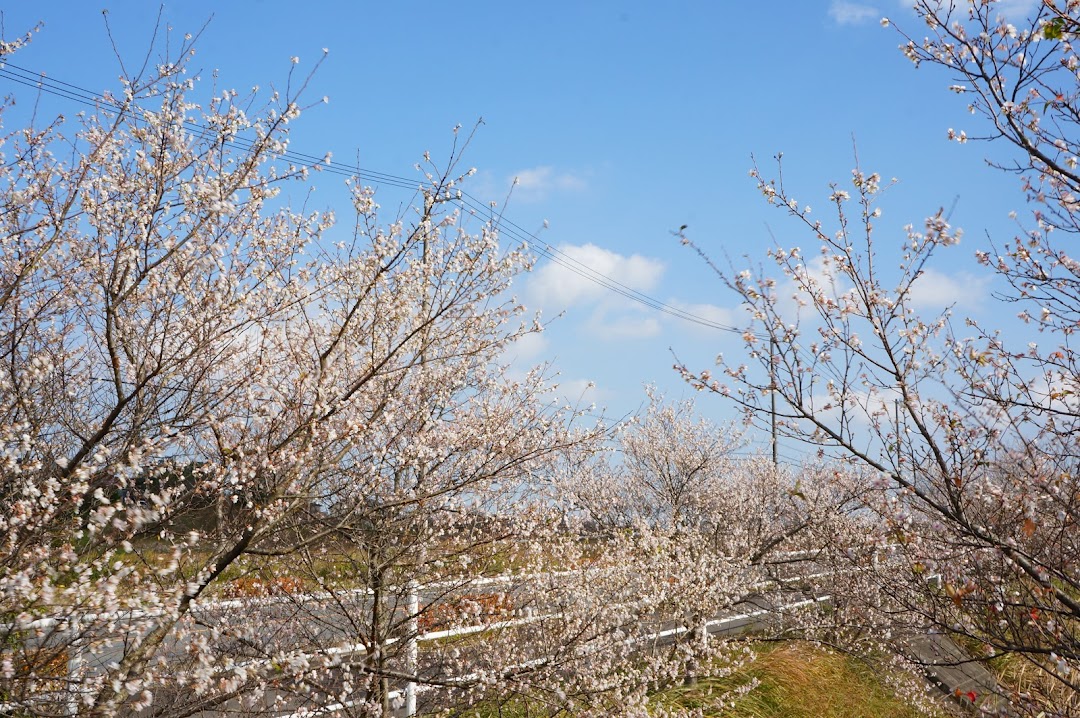 四季桜の里