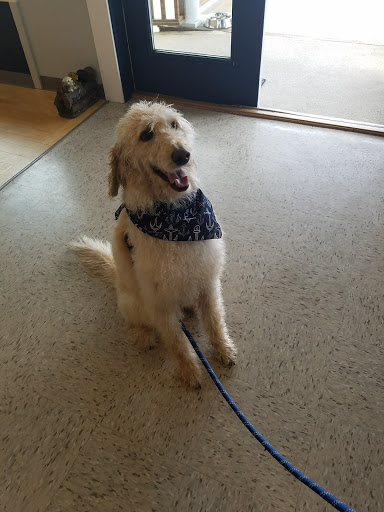 Pet Supply Store «Benny and Jack», reviews and photos, 577 Kingstown Rd, South Kingstown, RI 02879, USA