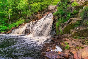 Duchesnay Falls Trails image