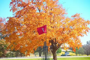 Wyandotte County Park Disc Golf Course image