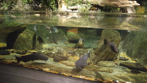 Imax Theater «Mcwane Center IMAX», reviews and photos, 205 19th St N, Birmingham, AL 35203, USA