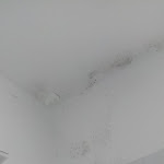 Photo n°5 de l'avis de Caterina.o fait le 19/02/2024 à 10:04 sur le  Hotel Brivio à Milan