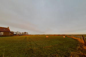 Vissers Huus Hollum Ameland