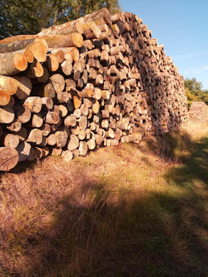 La Forestière Du Centre à Fleuriel