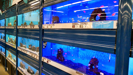 Pet Supply Store «Petco Animal Supplies», reviews and photos, 1670 Airport Blvd #700, Pensacola, FL 32504, USA