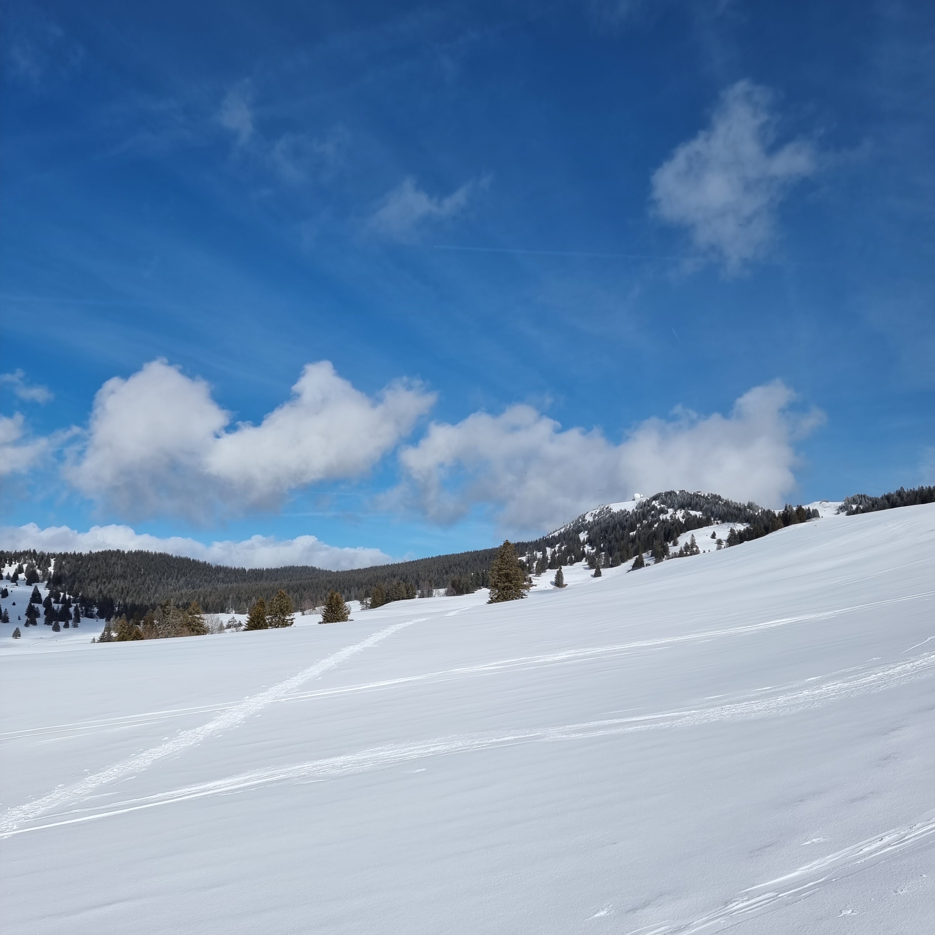 Photo n° 1 de l'avis de SCHWEITZER.a fait le 28/02/2022 à 18:12