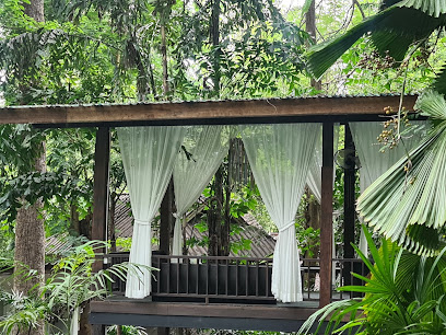 Rain Forest Resort
