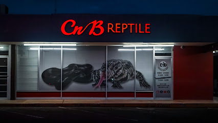 CnB Reptile