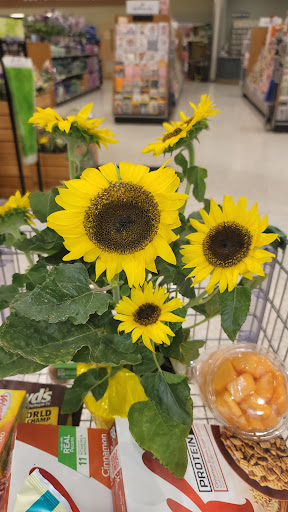 Supermarket «Publix Super Market at The Market at Southside», reviews and photos, 2873 S Orange Ave, Orlando, FL 32806, USA