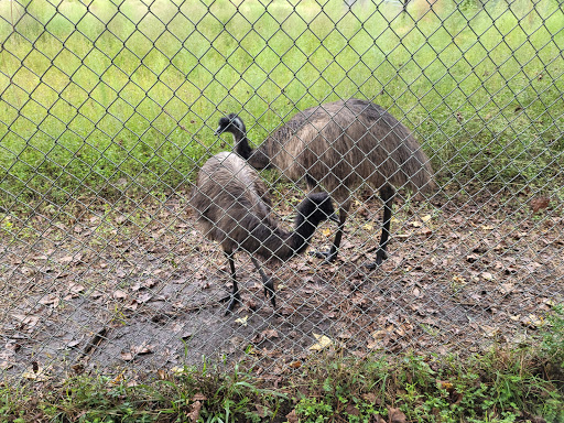 Zoo «Waccatee Zoological Farm», reviews and photos, 8500 Enterprise Rd, Myrtle Beach, SC 29588, USA