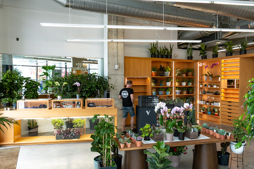 Wholesale Florist «Urban Jungle», reviews and photos, 2603 Sherman Ave NW, Washington, DC 20001, USA