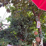 Photo n°5 de l'avis de Peter.. fait le 26/07/2022 à 20:44 sur le  Café Endlich à Langenselbold