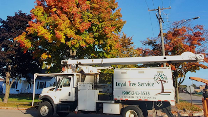 Loyal Tree Service