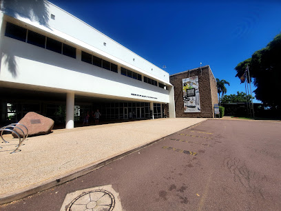 Museum and Art Gallery of the Northern Territory