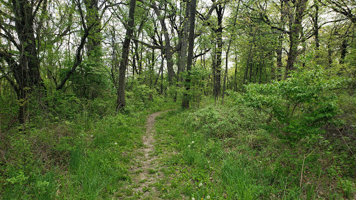 Nature Preserve «Penny Road Pond», reviews and photos, Penny Rd, Barrington, IL 60010, USA