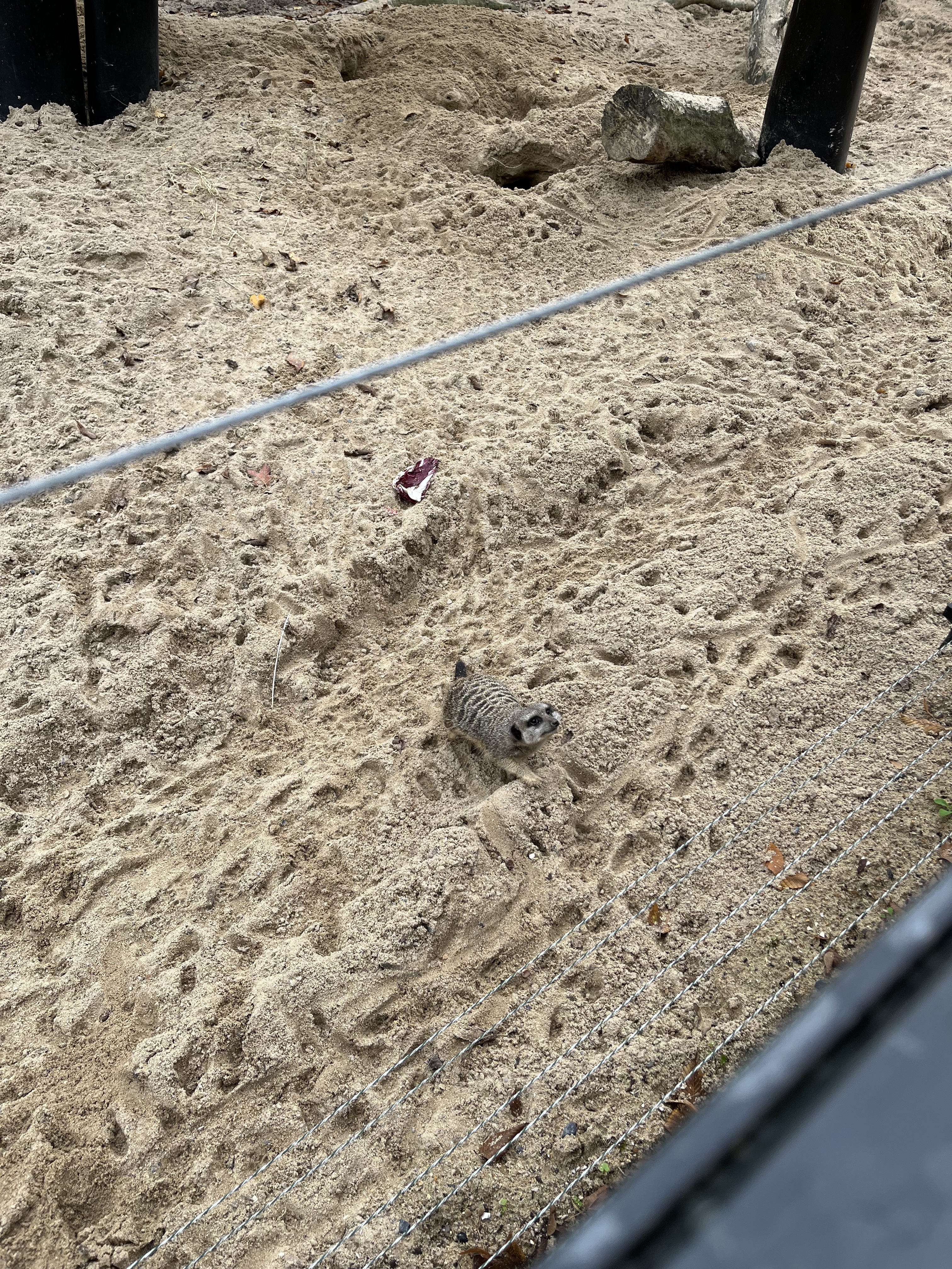 Photo n° 5 de l'avis de Célia.� fait le 07/11/2022 à 16:52