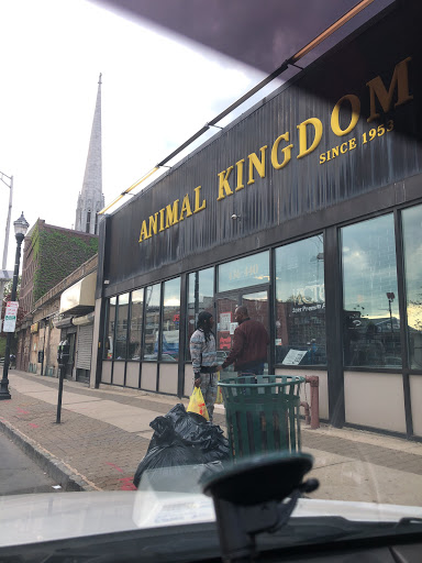 Animal Kingdom, 436 Main St, East Orange, NJ 07018, USA, 