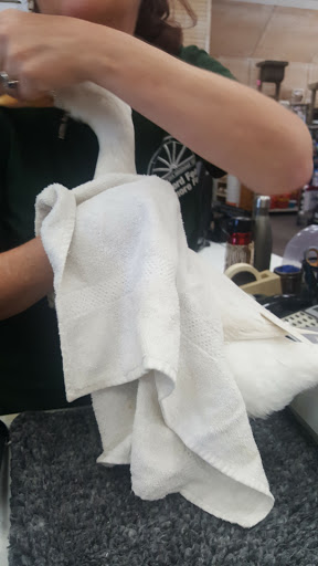 Pet Supply Store «Concord Feed Pet & Livestock Supplies», reviews and photos, 228 Hookston Rd, Pleasant Hill, CA 94523, USA