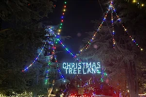 Christmas Tree Lane image