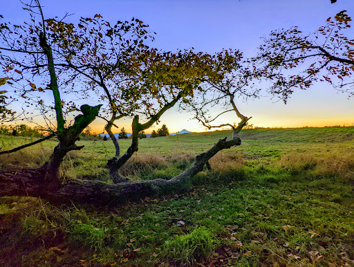 Park «Powell Butte Nature Park», reviews and photos, 16160 SE Powell Blvd, Portland, OR 97236, USA