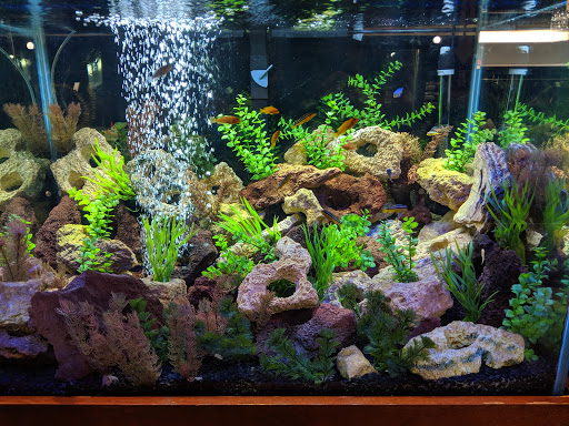 Pet Supply Store «Pet Depot», reviews and photos, 244 Seville St, Florence, AL 35630, USA