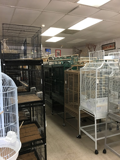 Bird Shop «Arizona Bird Store», reviews and photos, 565 S Dobson Rd, Mesa, AZ 85202, USA