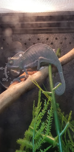 Pet Supply Store «PetSmart», reviews and photos, 467 Cross Keys Rd, Sicklerville, NJ 08081, USA