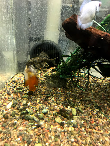 Pet Store «Animart», reviews and photos, 4303 E Towne Way, Madison, WI 53704, USA