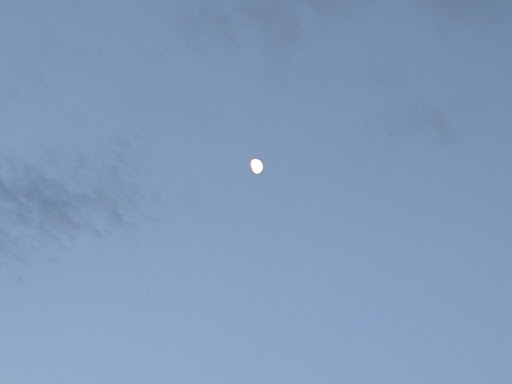 Grocery Store «King Soopers», reviews and photos, 13700 Colorado Blvd, Thornton, CO 80602, USA