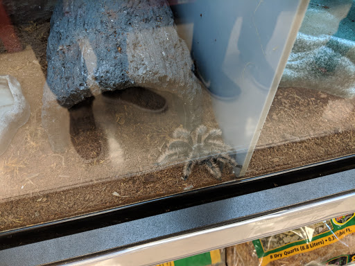 Pet Supply Store «Petco Animal Supplies», reviews and photos, 3012 Bridgepointe Pkwy, San Mateo, CA 94404, USA