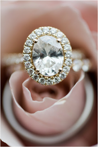 Florist «The Empty Vase», reviews and photos, 1105 E 52nd St, Indianapolis, IN 46205, USA