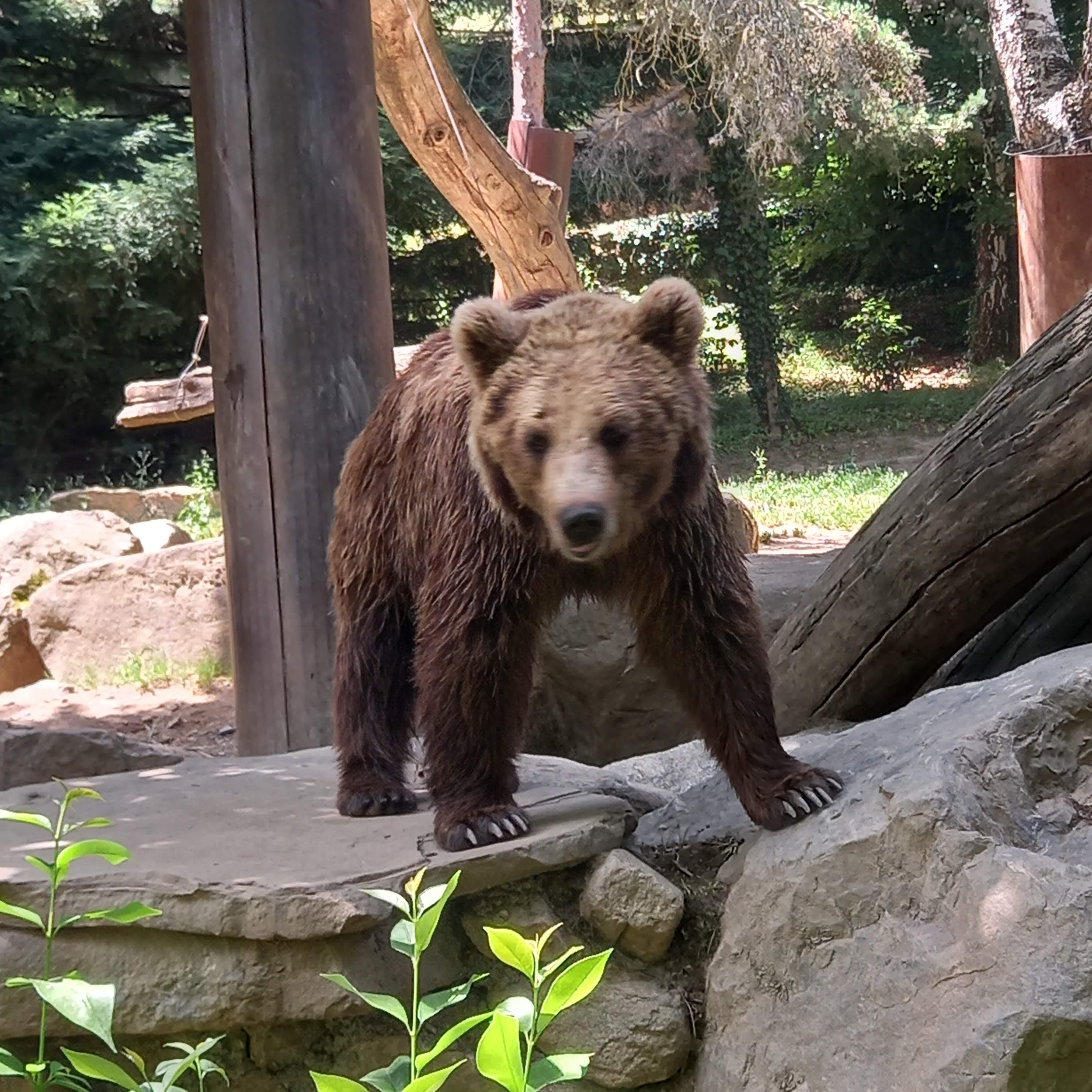 Photo n° 17 de l'avis de Imelda.i fait le 24/08/2019 à 20:04