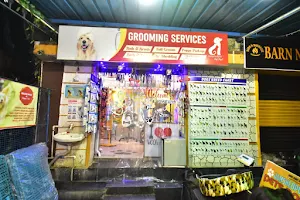 Jamshedpur pets point | Best pet shop in jamshedpur | Best Aquarium shop in jamshedpur image