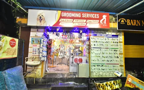Jamshedpur pets point | Best pet shop in jamshedpur | Best Aquarium shop in jamshedpur image